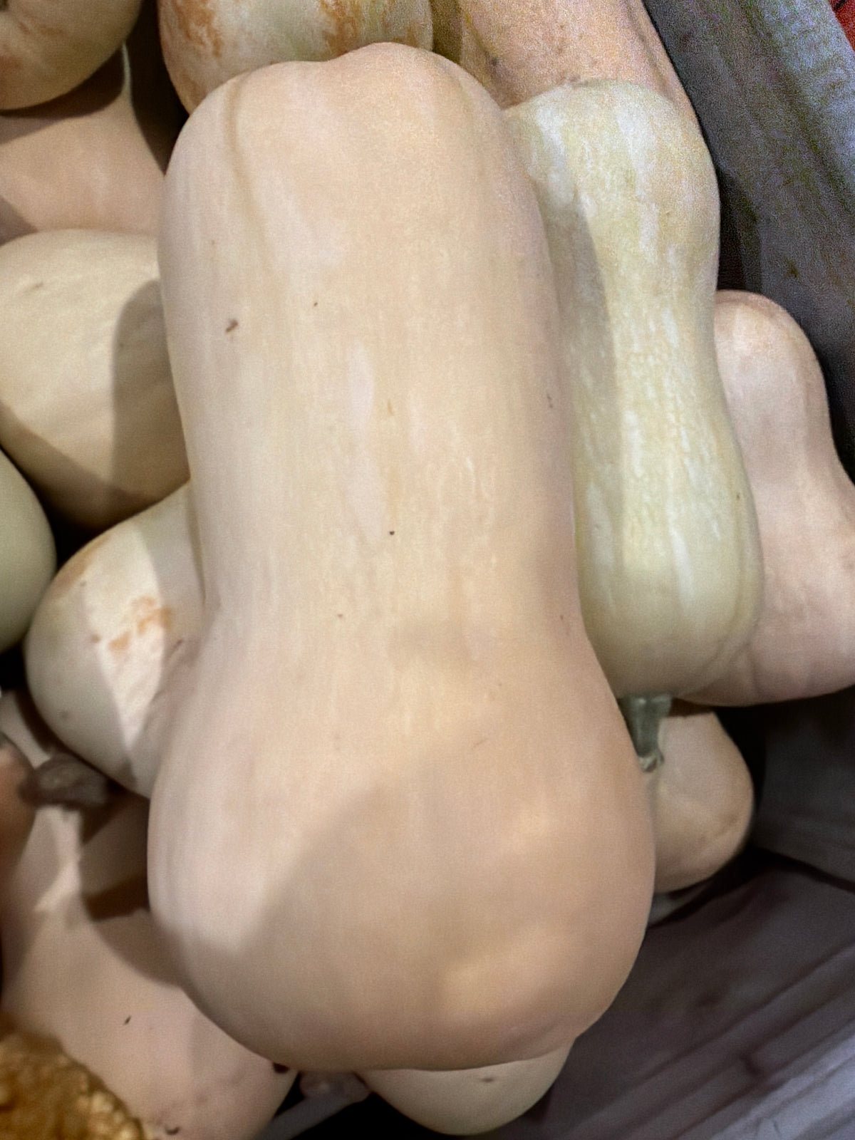 Pompoen Butternut