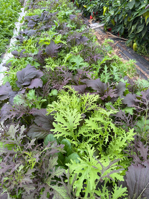 Asian salad mix