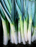 (Herfst) prei - autumn Leeks