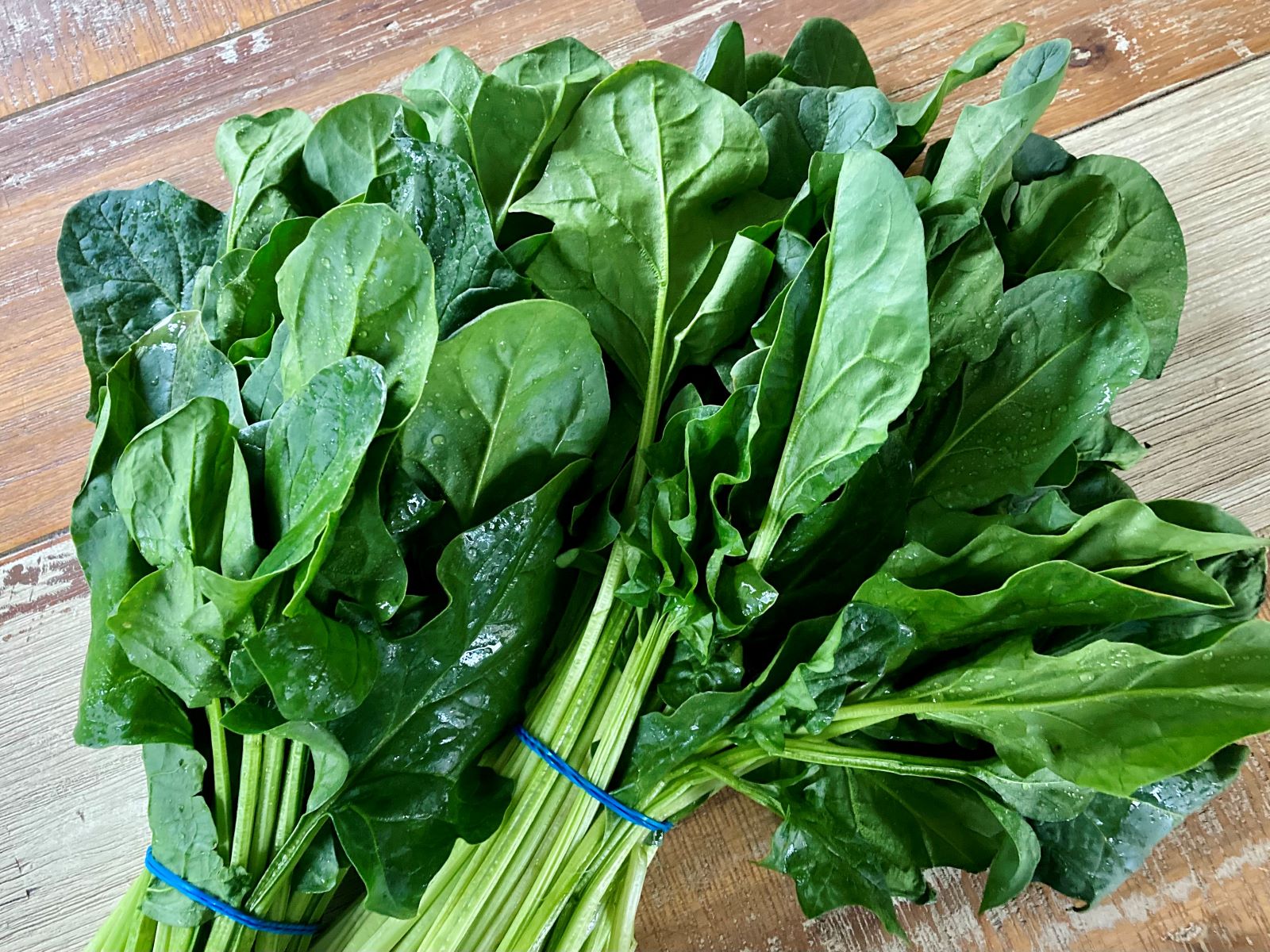 Spinach (Spinazie)