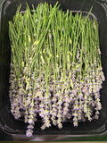 lavender (lavendel)