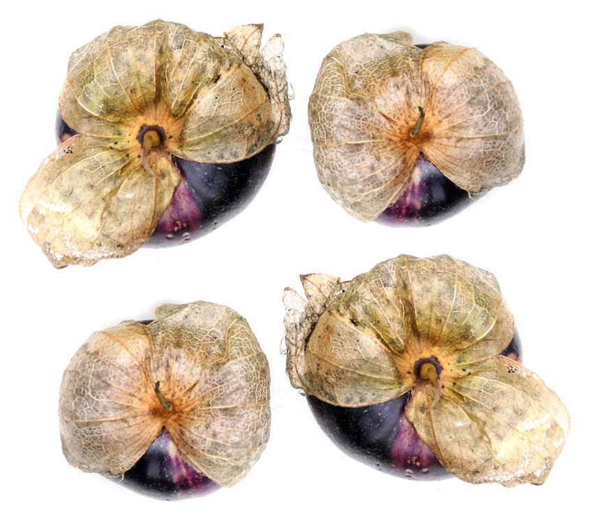 Tomatillo