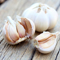 Knoflook