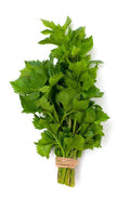 Cutting Celery /  Leaf Celery Snijselder