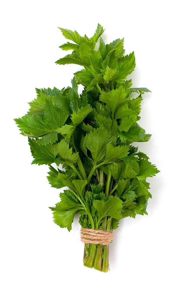 Cutting Celery /  Leaf Celery Snijselder