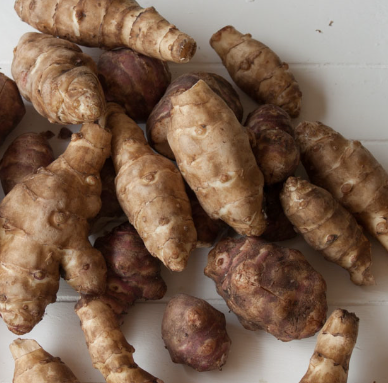 JERUSALEM ARTICHOKE (Aardpeer)
